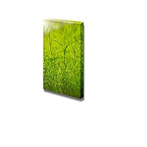 Fresh Green Grass Beside a River Nature Beauty Wall Decor