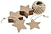 Christmas Star Gift Tags with String Kraft Paper Blank Gift Wrap Tags 100 Pcs Wedding Crafts Tags with 66 Feet Jute Twine