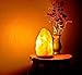 Spantik Heavy 9-13 lbs Himalayan Salt Lamp with Dimmer Switch Cord and wood base 10-11 Inch Height