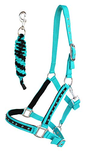 PRORIDER Nylon Horse Halter Lead Rope Noseband Tack Teal Average Size 606122