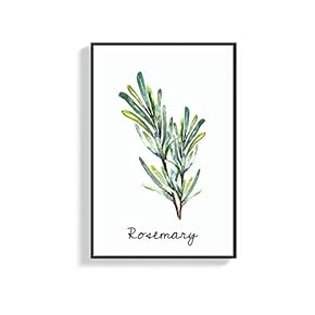 Framed Canvas Wall Art for Living Room, Bedroom Rosemary Canvas Prints for Home Decoration Ready to Hang - 16x24 inches