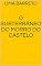 Livro O Subterrâneo do Morro do Castelo
