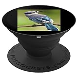 Blue Jay - PopSockets Grip and Stand for Phones and