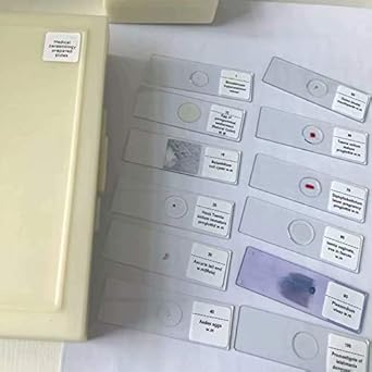 100pcs Set Medical Parasite Microscope Prepared Slides Parasitology Prepared Slides Amazon Com Industrial Scientific
