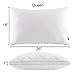 Basic Beyond White Gusseted Feather Down Pillow (Queen) Most Popular Feather Down Pillow Soft Quilted Desigen for Support of Sleeping, Set of 2