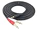 Devinal 1/8 inch Male Stereo to Dual 1/4 Mono Male Audio Cable, 3.5mm TRS to Dual 6.35mm TS Y Splitter Breakout Cord, Gold Plated Heavy Duty Durable 15 Feet