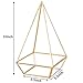 HOMEIDEAS Modern Terrarium Clear Glass Pyramid Tabletop Geometric Polyhedron Box,Decorative Succulent Plants Holder(Golden)