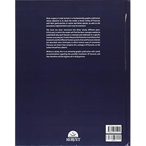 Bone surgery in small animals