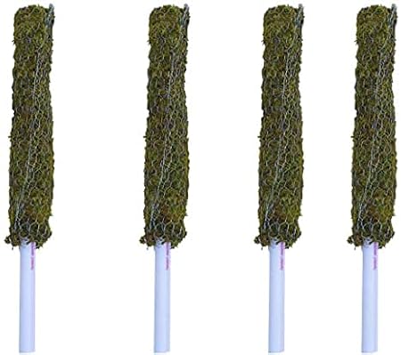 PlantaZee Moss Stick - Coir Stick for Indoor, House and Plant Creepers Support (3 ft) Pack of 4
