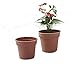YIKUSH Nursery Pots Planters for Plants, Cuttings & Seedlings, 4-Inch, 20-Pack