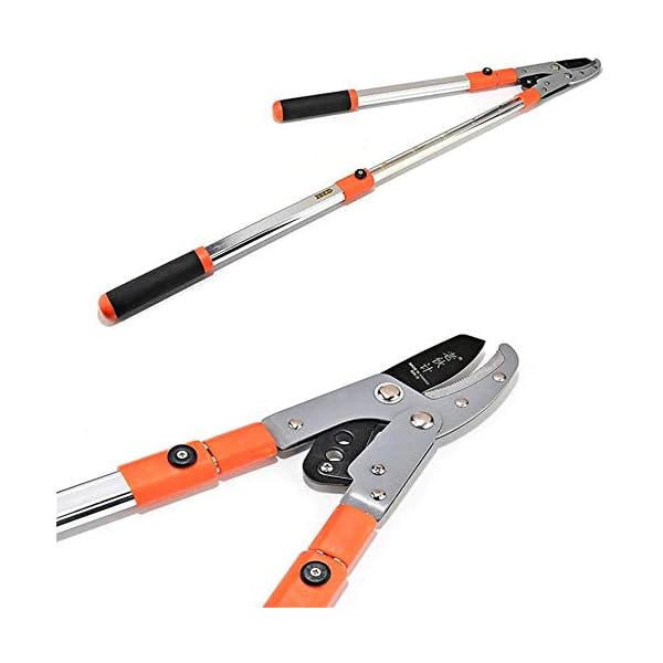 upstartech Astschere Teleskop, Astschneider für Zweige mit 45mm Durchmesser Gartengeräte, Verstellbare Griffen, Tote… – Bild 7