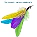 Depets 6 pcs Cat Feather Toy Refills, Feather Teaser Replacements for Interactive Cat Toy Wand, Cat Toys for Kitten Playing
