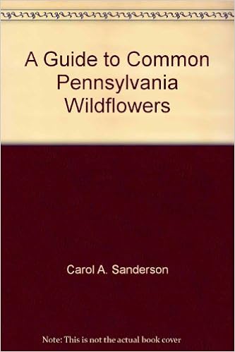 A Guide To Common Pennsylvania Wildflowers 9780977655014 Amazon Com Books