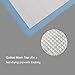 Petfamily Super-Absorbent 24 by 24 Inches Dog Training Pads - 100 Count of Pads