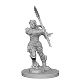 Pathfinder Deepcuts Unpainted Minis:halforc Female Barbarian