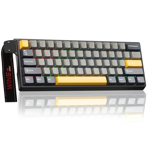 AULA WIN60HE MAX Mechanische Gaming Tastatur mit Kabel,Hall Effect Magnetic Switches,0.01mm Rapid Trigger,Einstellbare Betätigung,8000HZ,60% RGB Tasta