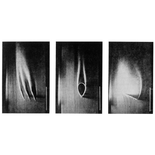 Album Art for Passion Plays by Wymond Miles