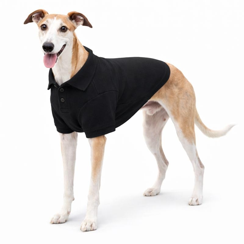 lovelonglong Basic Dog Polo Shirts Premium Cotton, Polo T-Shirts for Large Medium Small Dogs with a Two-button Collar Blank Color Black XXL