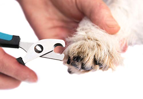 Dorakitten Pet Scissors,Dog Grooming Scissors Pet Beauty Scissors Dog Thinning Scissors Dog Barber Scissors Professional Hairdressing Pet nail clippers for Animal