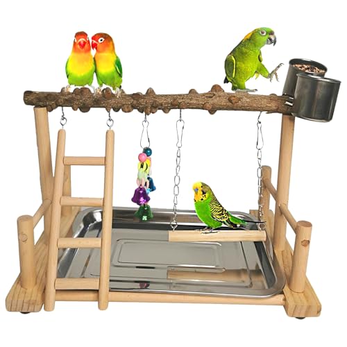 Hamiledyi Bird Playground