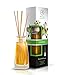 Jasmine Reed Diffuser 3.4 Fl Oz (100ml) - Home Fragrance - Air Freshener - Scented Diffuser - Gift - Spa - Home - Office - Boutique - Floral & Long Lasting Aroma - Aromatherapy