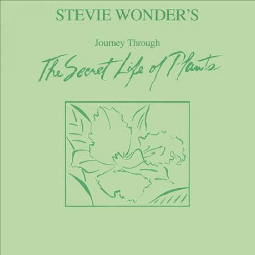 Album Art for Journey Through The Secret Life Of Plants [2 LP] by Stevie Wonder