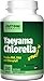 Jarrow Formulas Yaeyama Chlorella 200mg, 300 Tablets