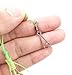 Carp Fishing Baits Hook Lure Trap Luminous Hooks with Drum Type Spring Feeder and Glow Fishing Beads Coarse Fishing Tackle