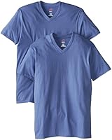 Hanes Men's Nano Premium Cotton V-Neck T-Shirt (Pack of 2)