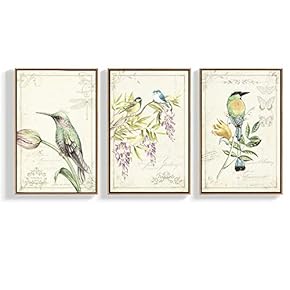 Floating Framed for Living Room Bedroom Vintage Bird...