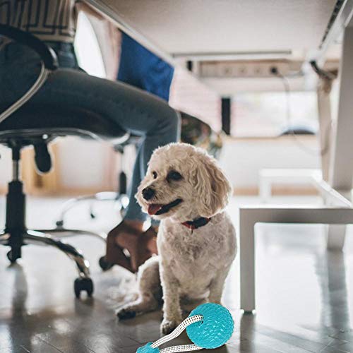 Womdee Dog Bite Toy, Multifunction Pet Molar Bite Toy, Durable Dog Tug Rope Ball Toy With Suction Cup - Tugging, Pulling, Chewing, Playing, Adult Dogs And Puppies - Thumbnail 2