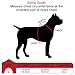 TIANYAO Large Red Dog Harness No Pull Reflective Oxford Material Soft Pet Vest Adjustable for Large Dogs Easy Control HarnessWith Dog Collar (L, Red)