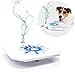 GoodBoy Water Fountain for Dogs – Interactive Paw Pedal Design Stimulates Pets and Keeps Them Cool – New Durable Leak-Proof Dispenser – Keeps Furry Friends Healthy Happy and Hydrated!