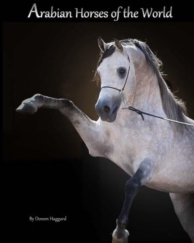 Arabian Horses Of The World