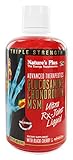 Nature's Plus - Triple Strength Glucosamine Chondroitin MSM Mixed Berry - 30 oz.