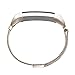 BeneStellar Fitbit Alta Band, Milanese Stainless Steel Replacement Band for Fitbit Alta HR and Alta (Milanese Champagne)