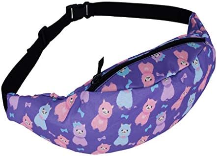 Running Belt Waist Fanny Pack for Men Women Adjustable Buckles Storage Pouch Bags Fitness Jogging Hiking (Multicolor D)