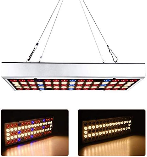 Growing Lamps, LED Grow Light Full Spectrum Plant Lighting Fit olampy for Greenhouse Plants Flowers Seedling Cultivation,150W,150W