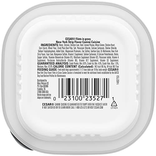 CESAR FILETS IN GRAVY ADULT WET DOG FOOD, NEW YORK STRIP FLAVOR, 3.5 OZ. TRAY