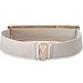 Lady Women Mirror Gold Tone Plate Metal Waist Elastic Belt Obi Band Beige Color