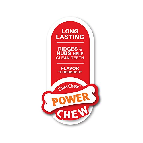 Nylabone Power Chew DuraChew Double Bone Bacon Dog Chew Toy, X-Small