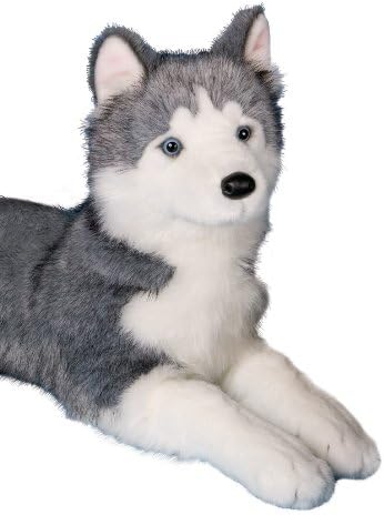 husky teddy amazon