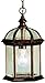 Kichler 9835TZ Barrie Outdoor Pendant 1-Light, Tannery Bronze