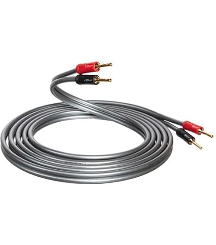 QED Silver Anniversary XT Pre-Term Speaker Cable 5M : Amazon.ca
