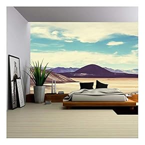 Landscapes in Northern Argentina - Removable Wall Mural | Self-Adhesive Large Wallpaper - 66x96 inches