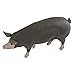 Safari Ltd. Berkshire Pig - Realistic Hand Painted Toy Figurine Model - Quality Construction from Phthalate, Lead and BPA Free Materials - for Ages 3 and Up