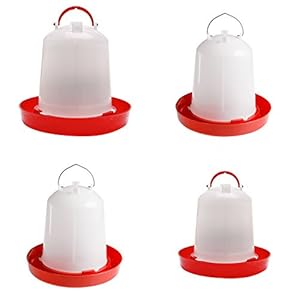 ypypiaol, mangiatoia per pollame, Anatre, Uccelli, pollame, Galline, quaglie, Bantam, Cibo, Acqua, Fattoria, Animali