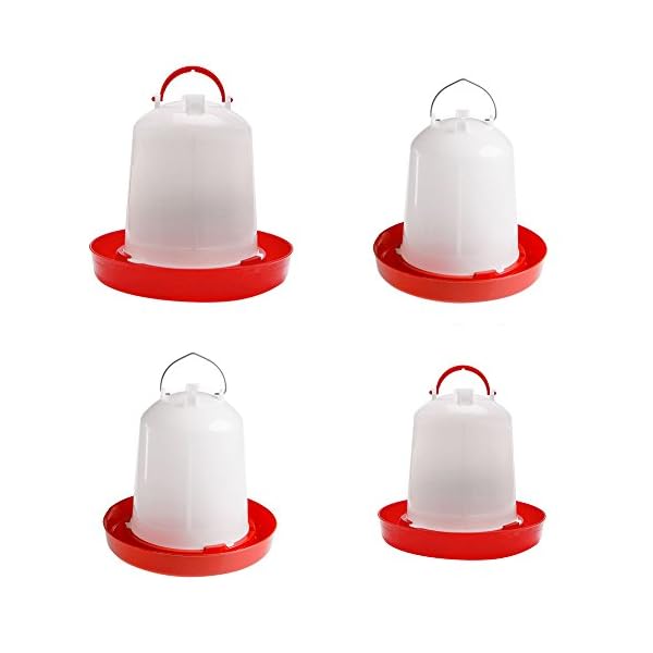 ypypiaol, mangiatoia per pollame, Anatre, Uccelli, pollame, Galline, quaglie, Bantam, Cibo, Acqua, Fattoria, Animali