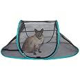 Amazon.com : Nala and Company - The Cat House Outdoor Pet Enclosure for ...
