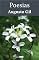 Livro Poesias